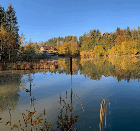 Séjour Junior Suite <br> 2 Personnes